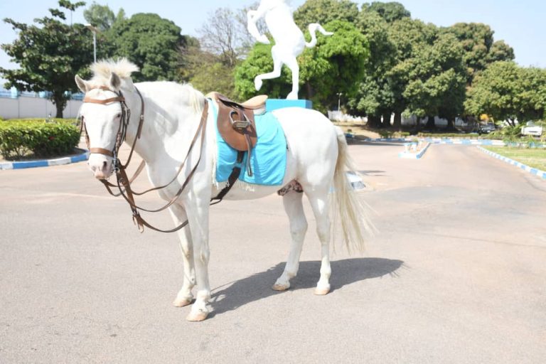 Army holds full military funeral for late mascot horse, Akawala